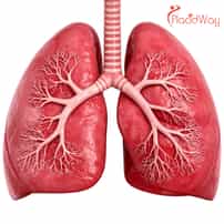 Why Americans Are Choosing Immunotherapy for Lung Cancer in Tijuana